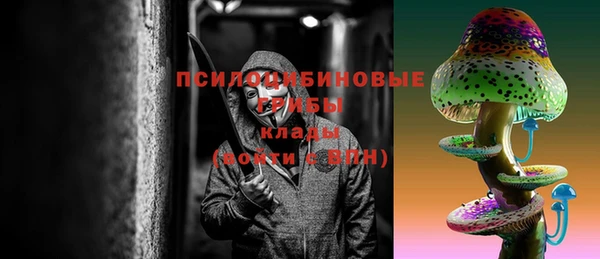 индика Вязники