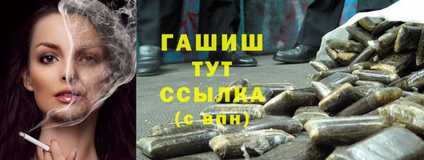 индика Вязники